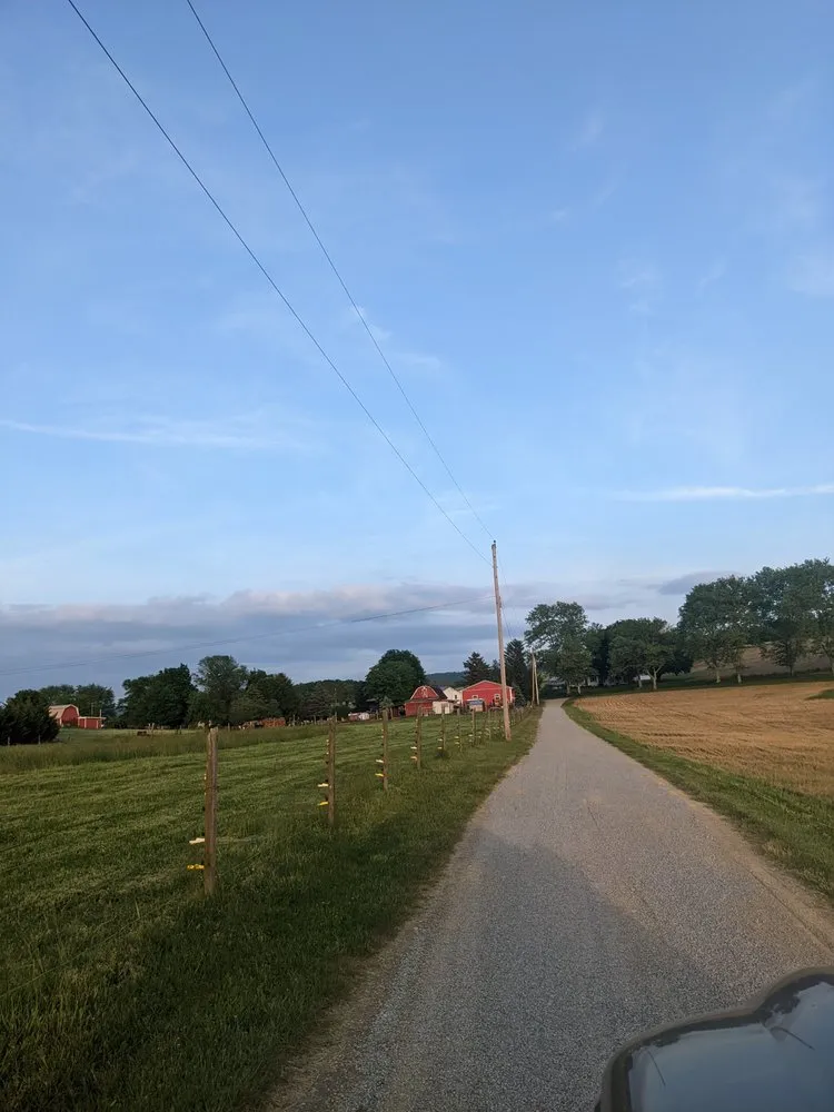 Affordable lawn care service for year-round maintenance across Sunbury, PA - Appalachian Dirt Works