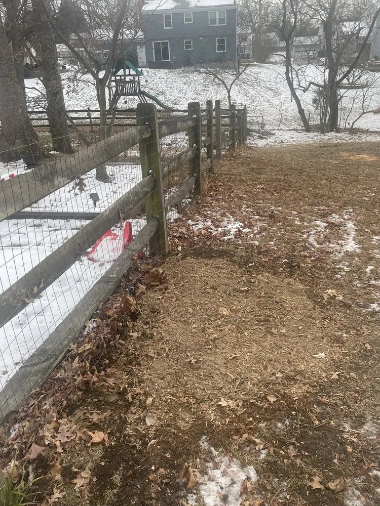 Expert residential landscaping experts serving Mount Airy, MD - Appalachian Tree Co.