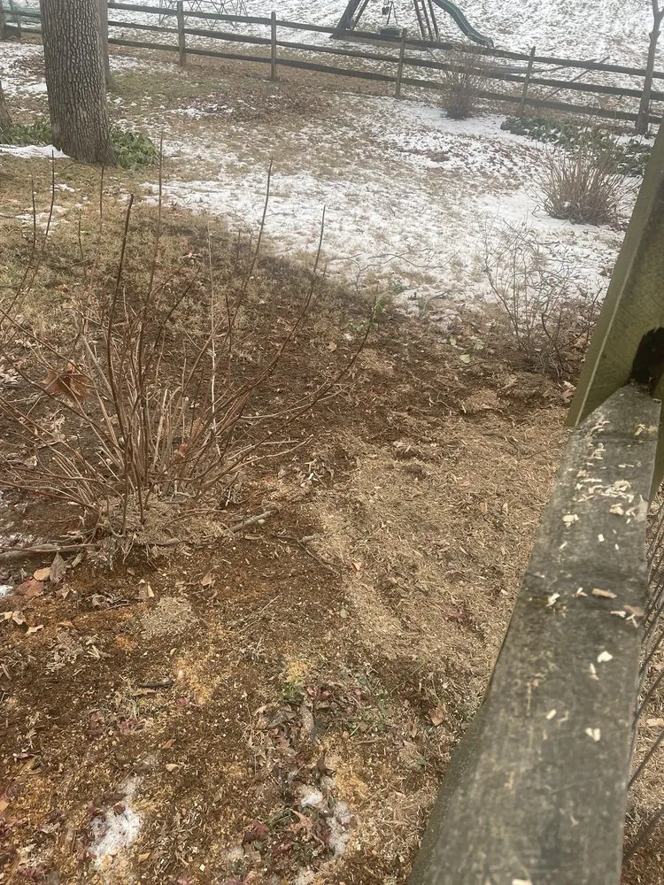 Trusted landscaping services with custom design across Mount Airy, MD - Appalachian Tree Co.