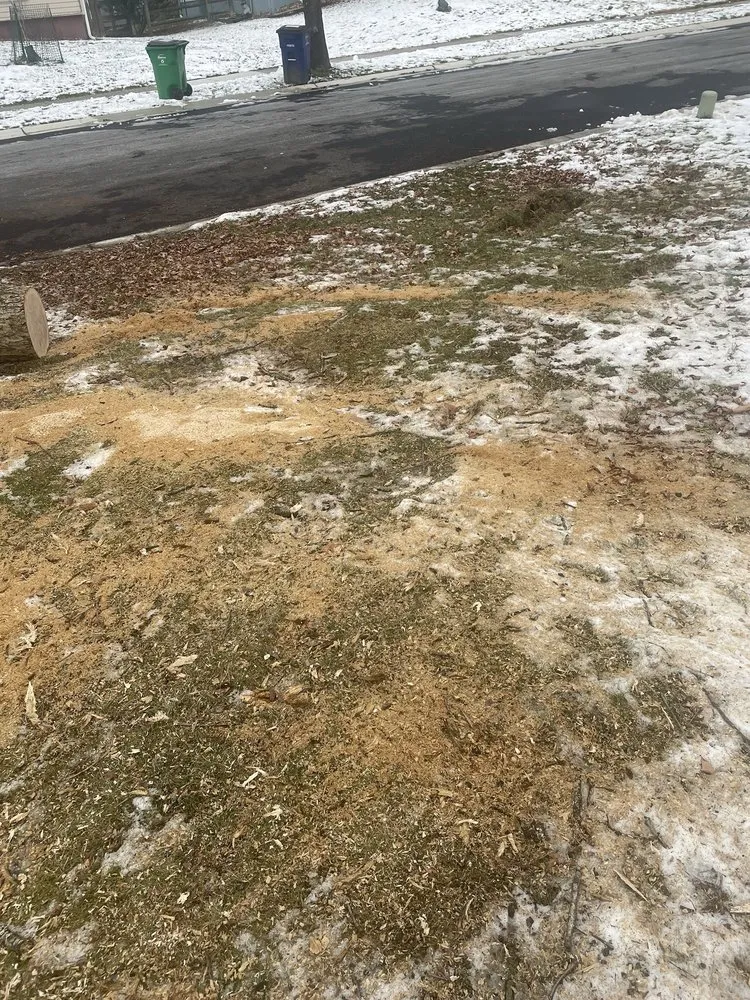 Professional yard cleanup service with custom design in Mount Airy, MD by Appalachian Tree Co.