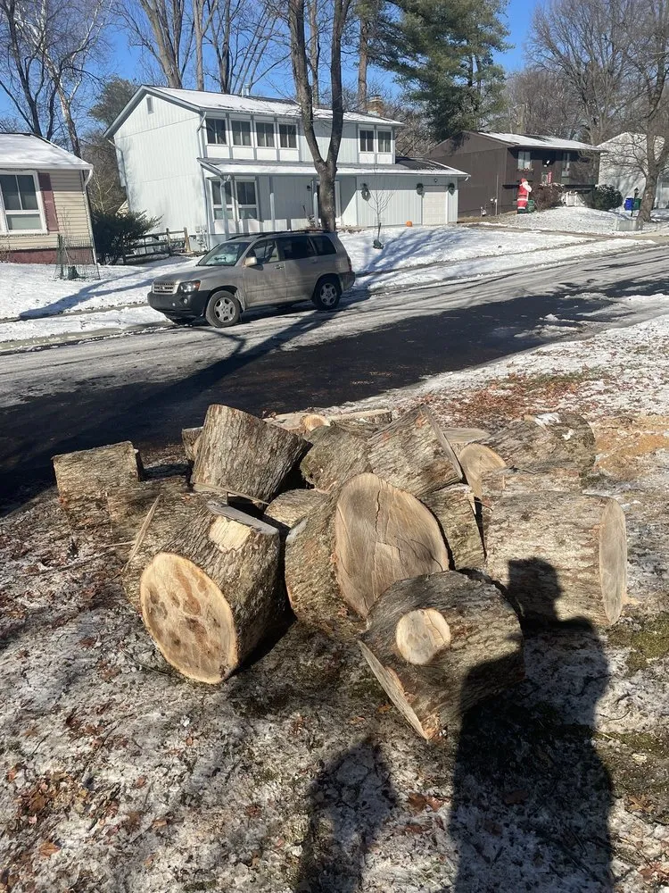 Reliable landscape installation in Mount Airy, MD - Appalachian Tree Co.