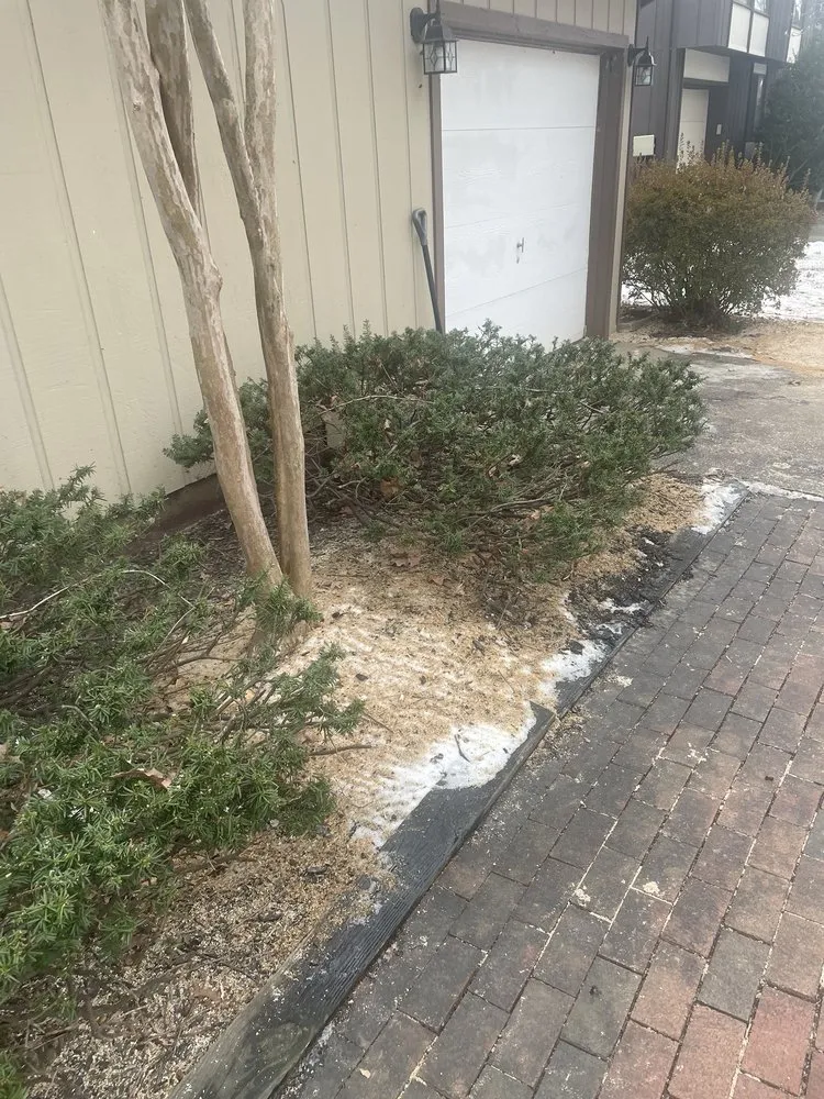 Expert landscaping services for year-round maintenance across Mount Airy, MD - Appalachian Tree Co.