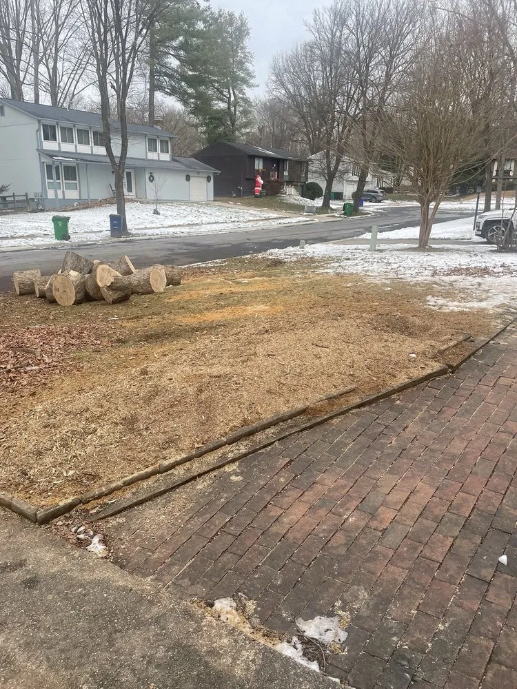 Custom landscaping services in Mount Airy, MD - Appalachian Tree Co.