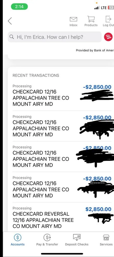 Professional landscape design experts serving Mount Airy, MD - Appalachian Tree Co.