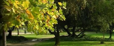 Local landscape installation near you across Mount Airy, MD - Appalachian Tree Co.