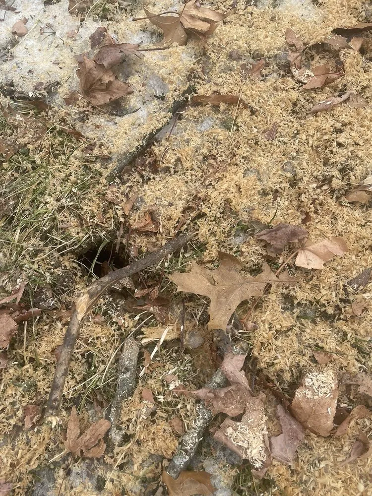 Trusted garden landscaping experts serving Mount Airy, MD - Appalachian Tree Co.