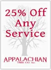 Expert lawn care service with custom design across Mount Airy, MD - Appalachian Tree Co.