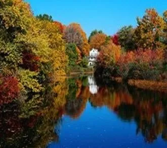 Affordable yard cleanup service in Mount Airy, MD - Appalachian Tree Co.