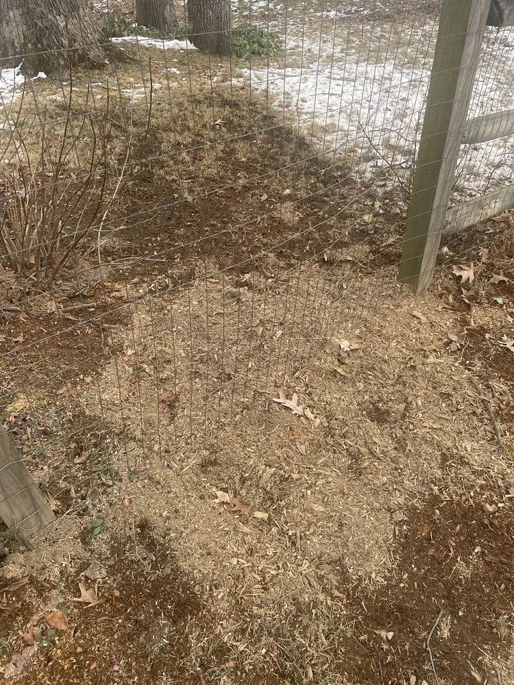 Custom garden landscaping for beautiful yards in Mount Airy, MD by Appalachian Tree Co.