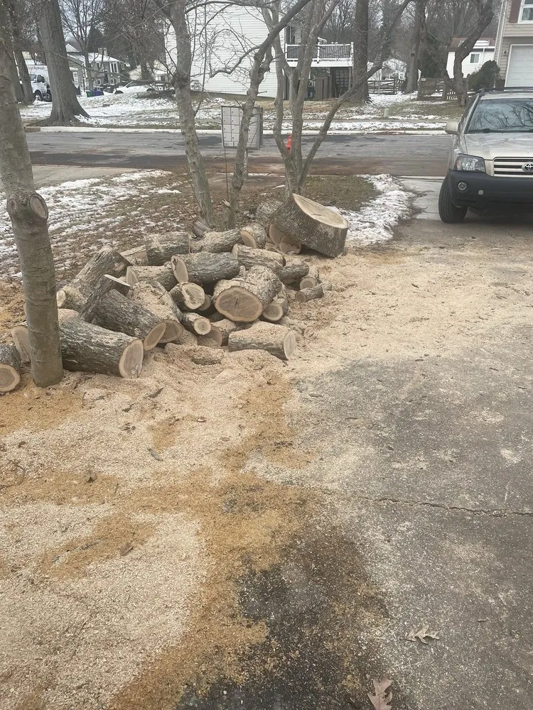 Reliable lawn mowing service in Mount Airy, MD by Appalachian Tree Co.