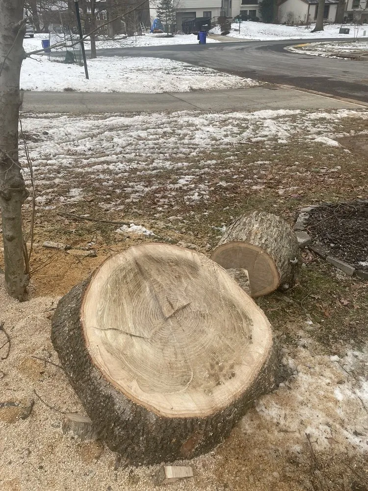 Custom residential landscaping in Mount Airy, MD by Appalachian Tree Co.