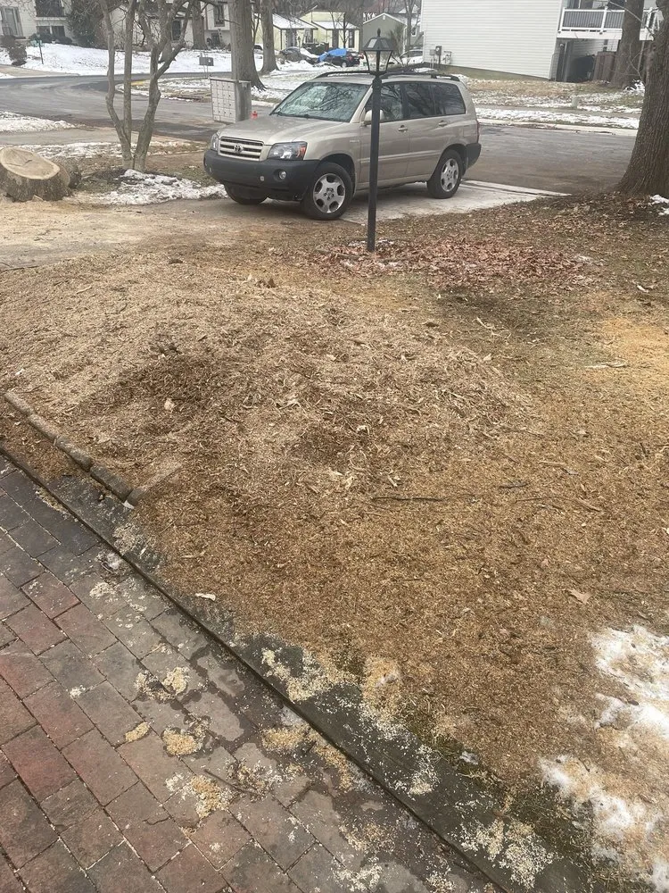 Reliable outdoor landscaping in Mount Airy, MD - Appalachian Tree Co.