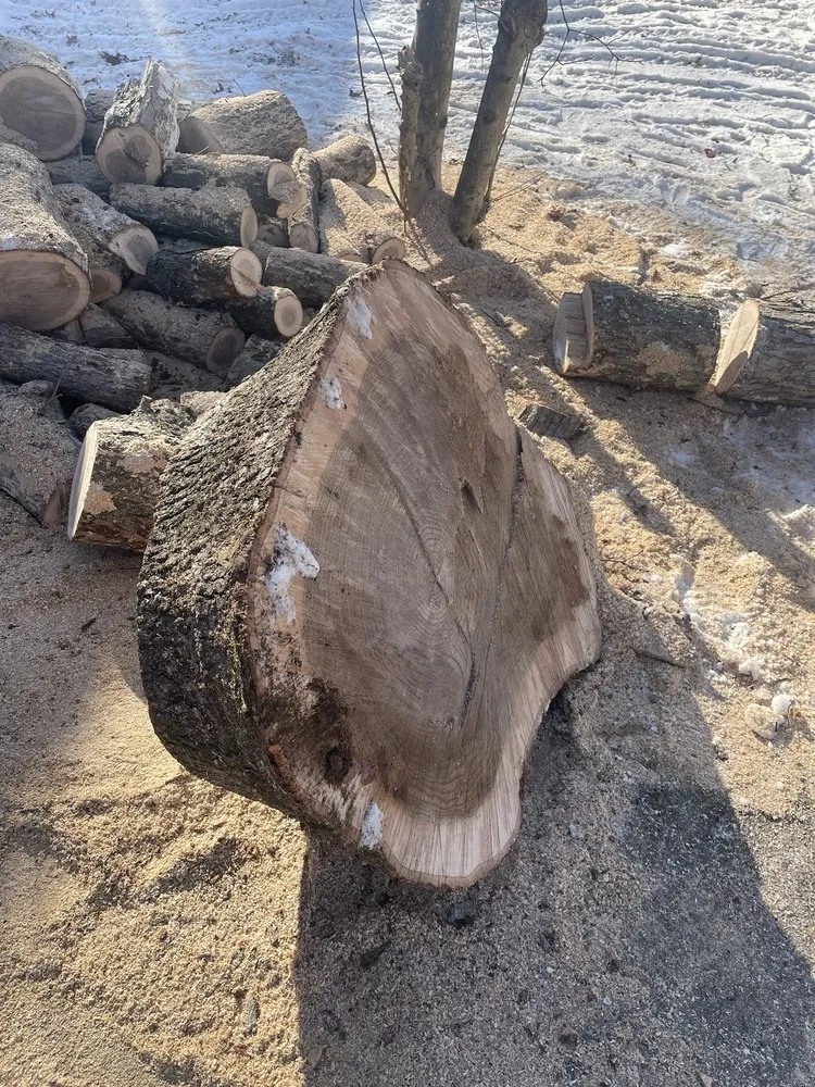 Affordable outdoor landscaping for outdoor upgrades in Mount Airy, MD by Appalachian Tree Co.