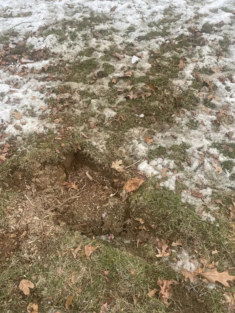 Trusted garden landscaping in Mount Airy, MD - Appalachian Tree Co.