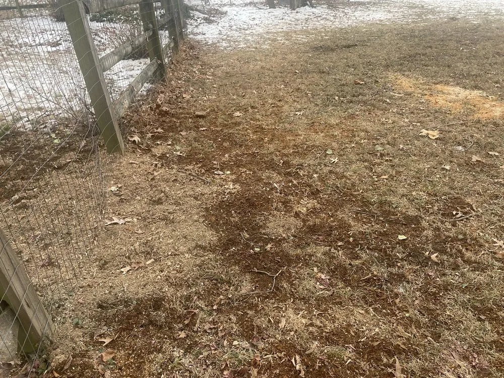 Local residential landscaping experts serving Mount Airy, MD - Appalachian Tree Co.