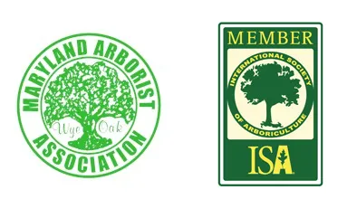 Top-rated landscaping services experts serving Frederick, MD - Appalachian Tree Service