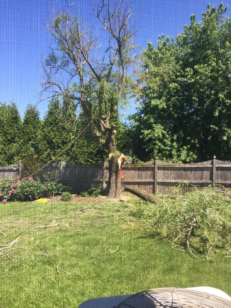 Professional residential landscaping experts serving Frederick, MD - Appalachian Tree Service