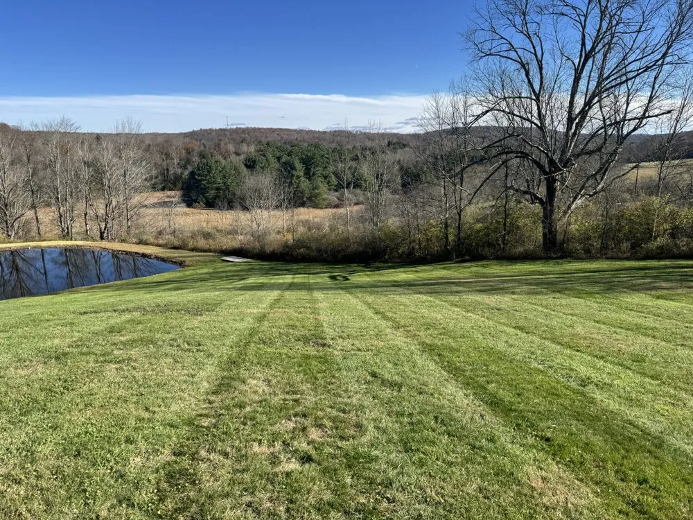 Professional yard cleanup service experts serving Lake Ariel, PA - Apple Creek Landscaping