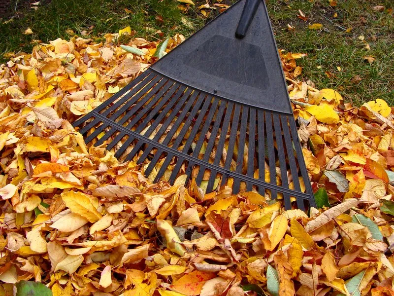 Local residential landscaping near you across Lake Ariel, PA - Apple Creek Landscaping