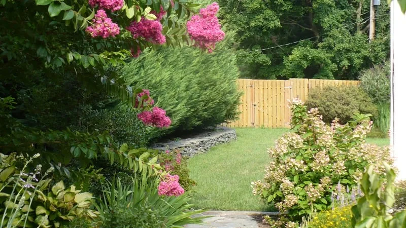 Local yard maintenance in Collegeville, PA - Apple Landscape Management