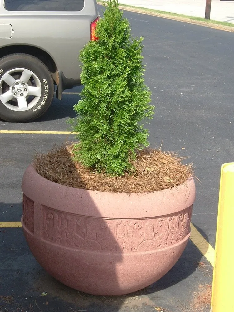 Expert yard maintenance for homes across Simpsonville, SC - Apple Landscaping and Property Management