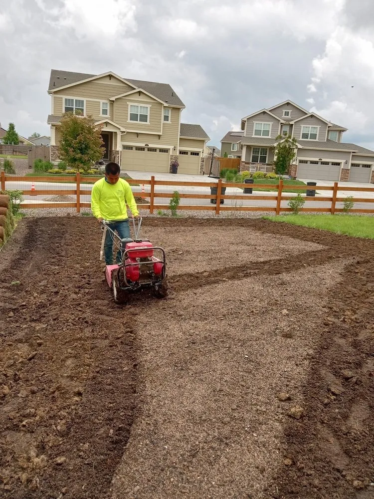 Professional lawn mowing service with custom design in Westminster, CO by Apple Landscaping