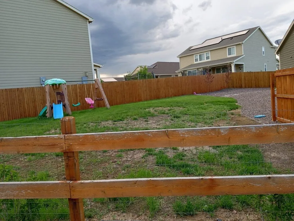 Top-rated yard cleanup service experts serving Westminster, CO - Apple Landscaping