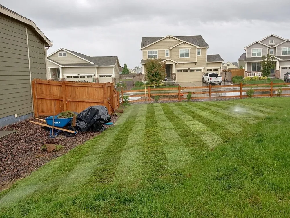 Affordable lawn mowing service in Westminster, CO - Apple Landscaping