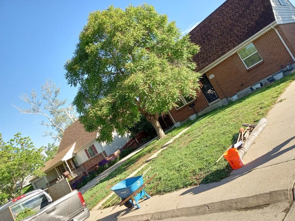 Custom residential landscaping in Westminster, CO by Apple Landscaping