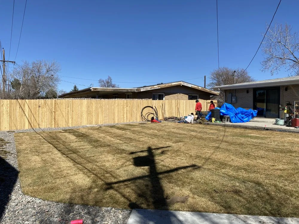 Local yard cleanup service in Westminster, CO by Apple Landscaping