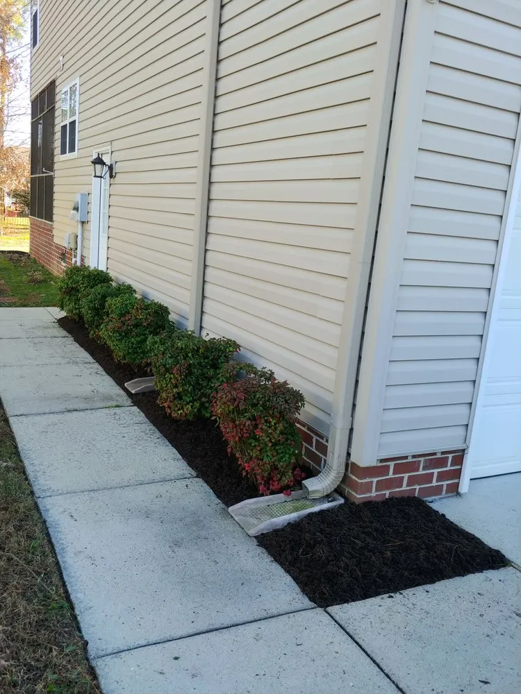 Trusted yard cleanup service experts serving Smithfield, VA - Apple Lawn Care