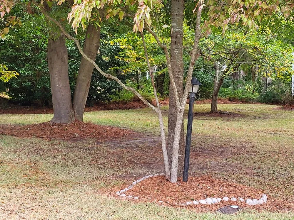 Professional yard maintenance in Smithfield, VA by Apple Lawn Care