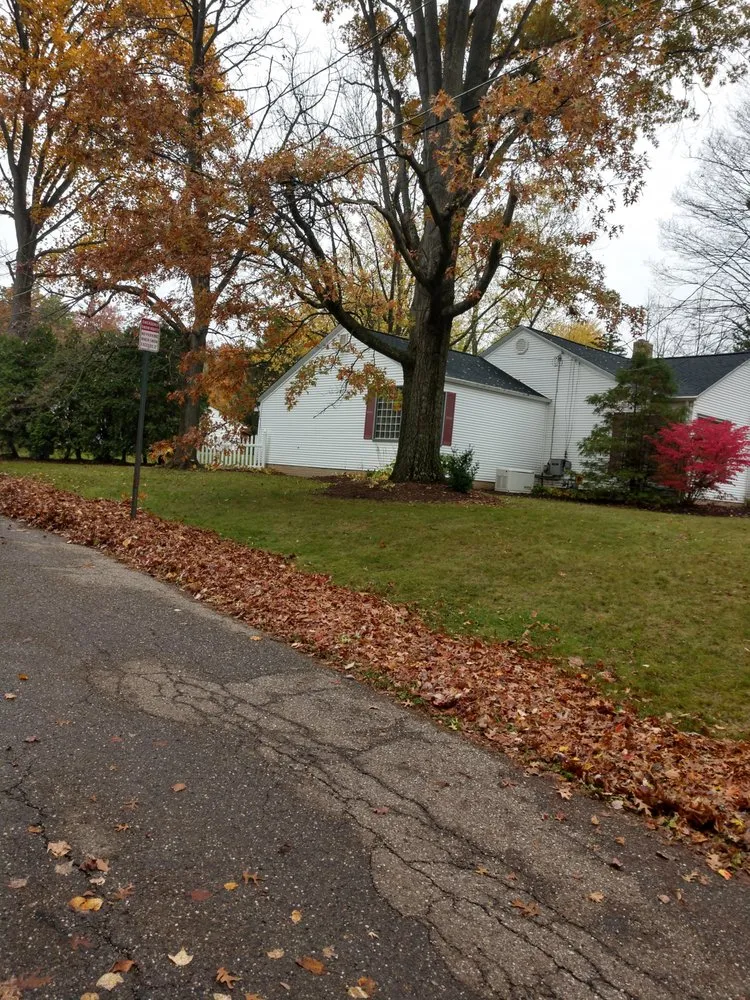 Expert residential landscaping near you in Akron, OH by Apple Seed Lawn Care