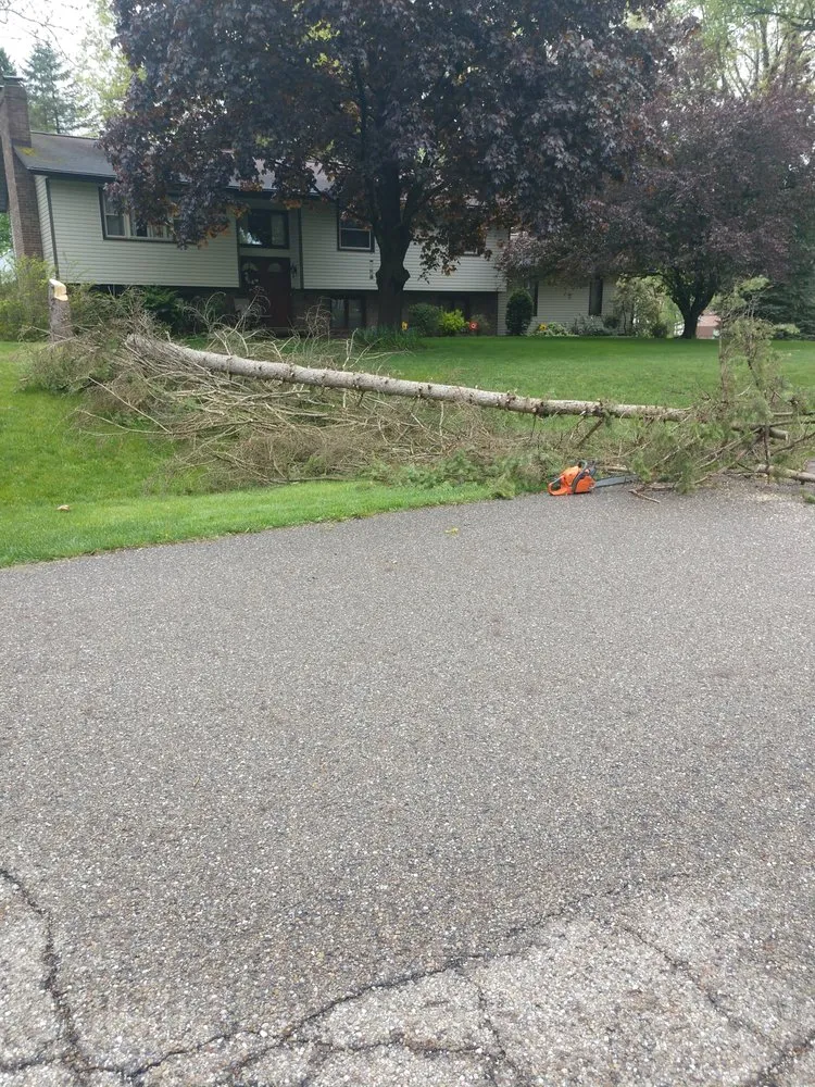 Professional yard maintenance near you in Akron, OH by Apple Seed Lawn Care