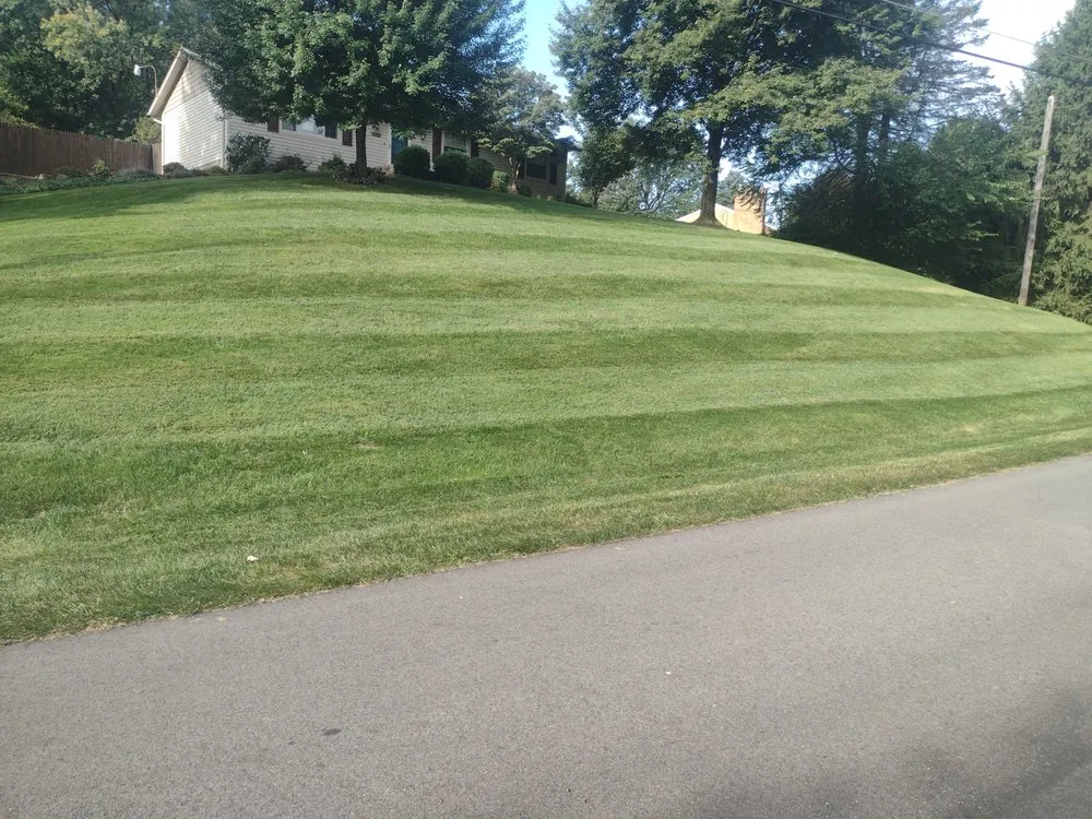 Top-rated yard maintenance in Akron, OH - Apple Seed Lawn Care