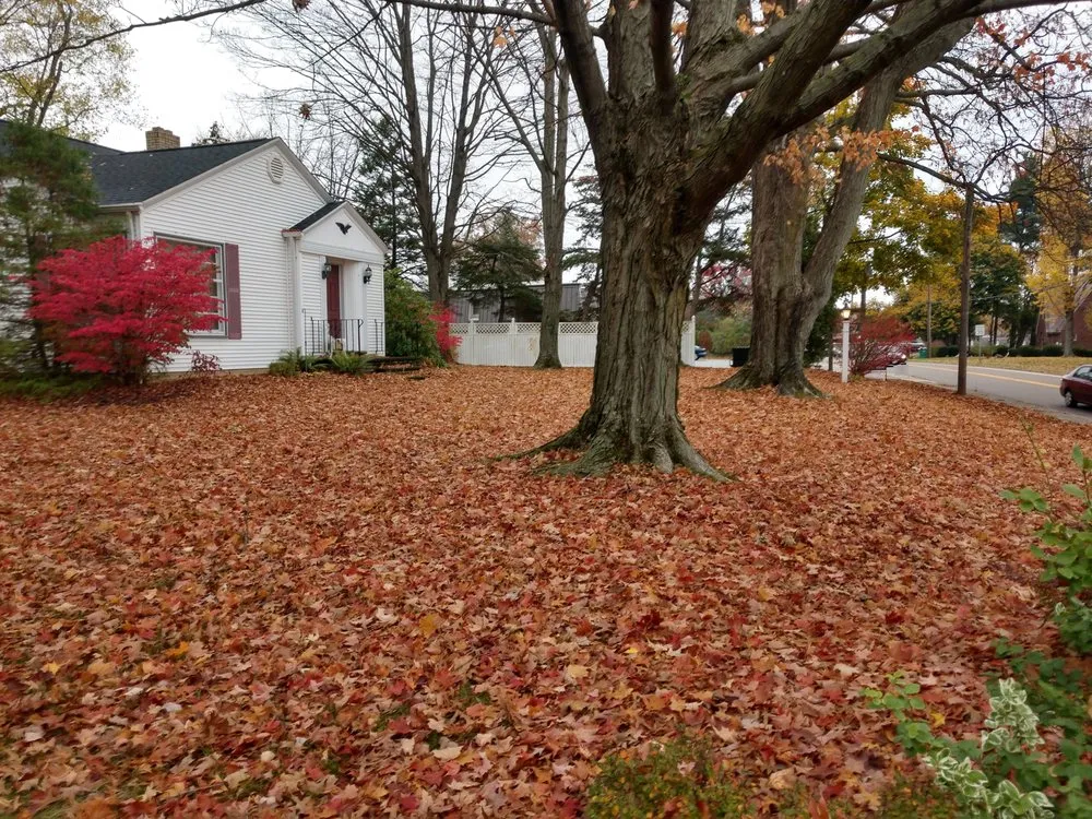 Affordable garden landscaping for outdoor upgrades across Akron, OH - Apple Seed Lawn Care