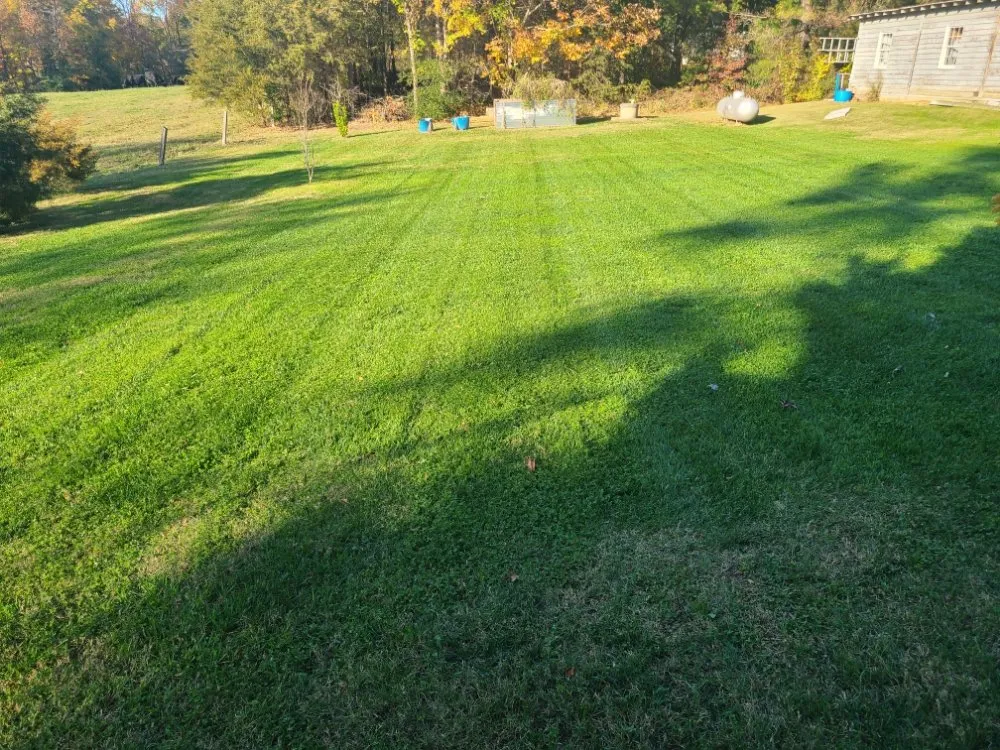 Top-rated yard maintenance in Burlington, NC - Apple Tree Lawn Care & Landscaping