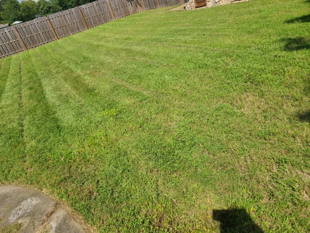 Affordable yard cleanup service for outdoor upgrades in Burlington, NC by Apple Tree Lawn Care & Landscaping