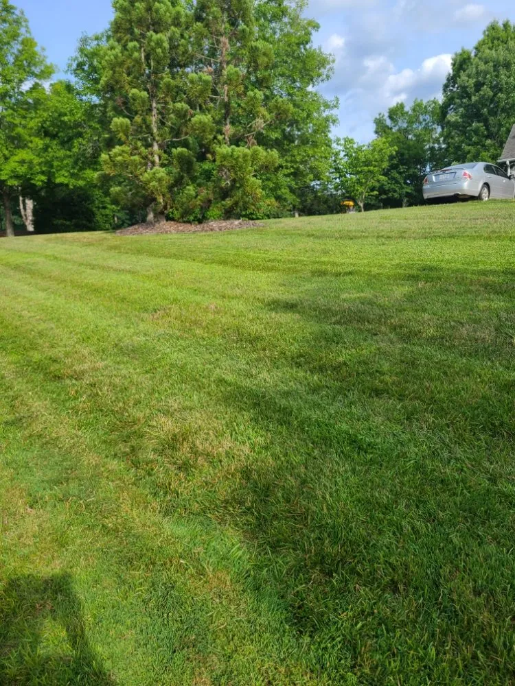 Local lawn care service near you in Burlington, NC by Apple Tree Lawn Care & Landscaping