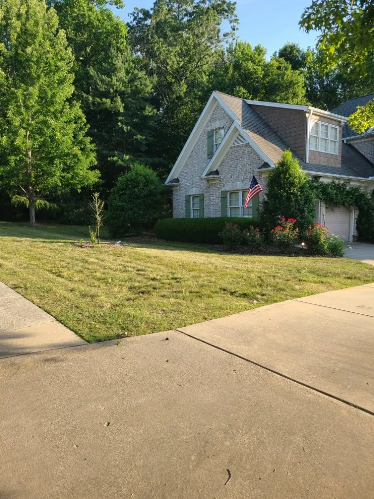 Custom yard cleanup service for homes in Burlington, NC by Apple Tree Lawn Care & Landscaping