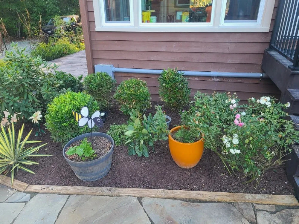 Trusted landscaping services in Burlington, NC - Apple Tree Lawn Care & Landscaping