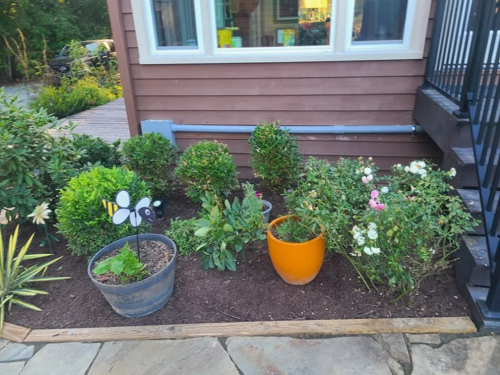 Top-rated outdoor landscaping in Burlington, NC - Apple Tree Lawn Care & Landscaping