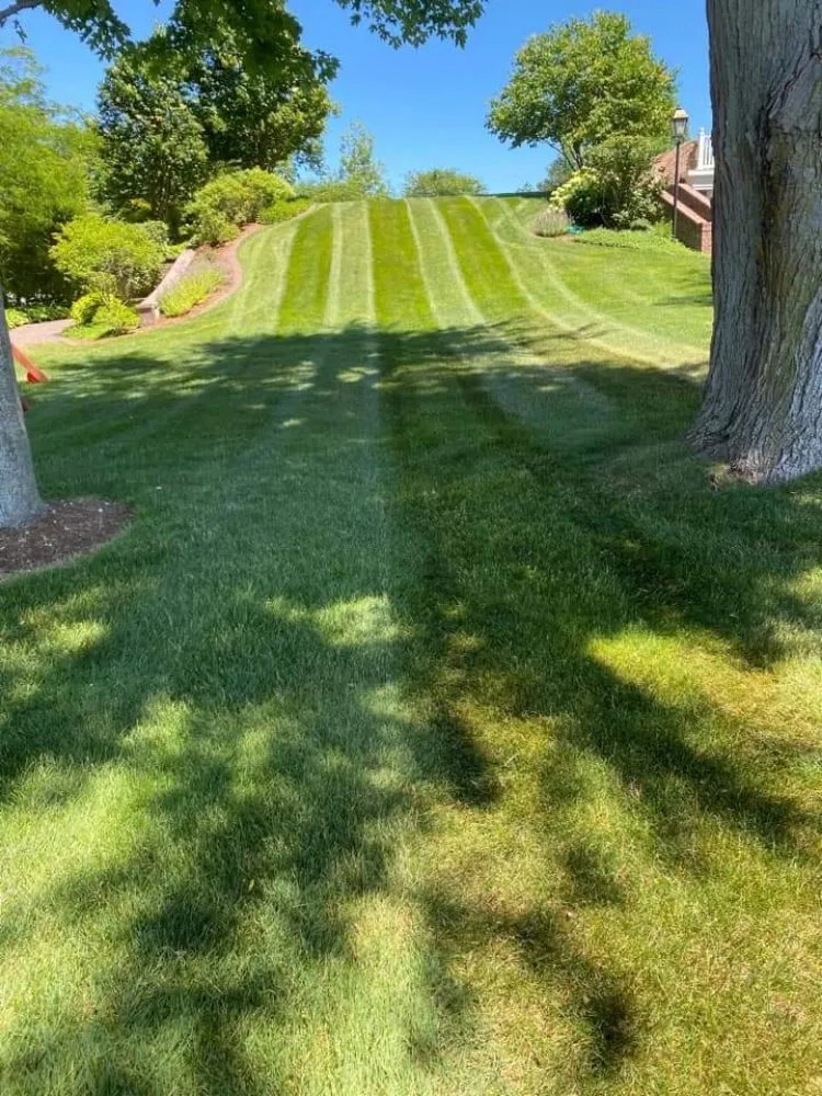 Custom yard maintenance near you across Burlington, NC - Apple Tree Lawn Care & Landscaping