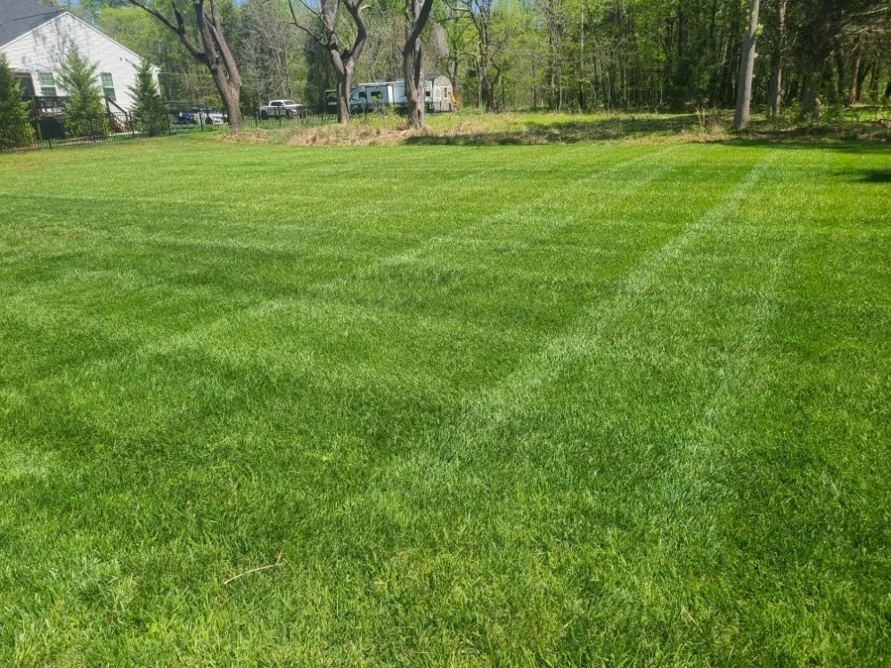 Reliable landscape installation for year-round maintenance in Burlington, NC by Apple Tree Lawn Care & Landscaping