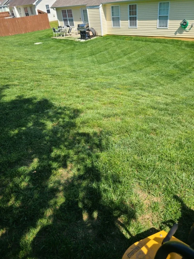 Expert landscape design with custom design across Burlington, NC - Apple Tree Lawn Care & Landscaping