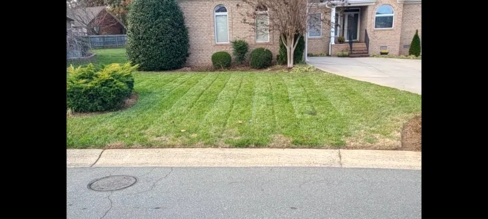 Expert landscaping services in Burlington, NC - Apple Tree Lawn Care & Landscaping