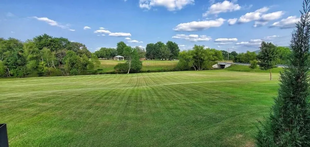 Expert yard cleanup service in Burlington, NC - Apple Tree Lawn Care & Landscaping