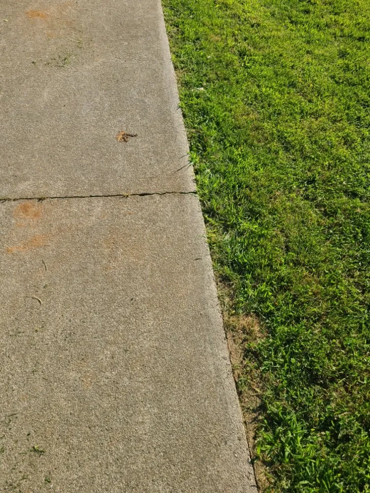 Reliable landscape installation in Burlington, NC - Apple Tree Lawn Care & Landscaping