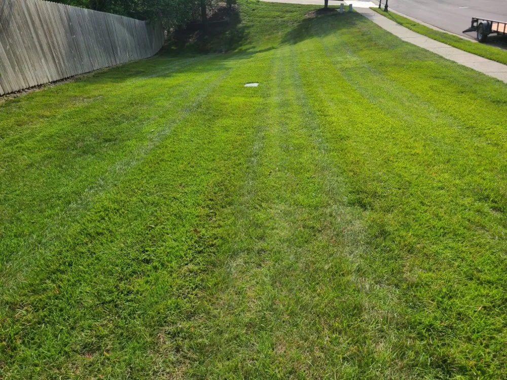 Affordable residential landscaping experts serving Burlington, NC - Apple Tree Lawn Care & Landscaping