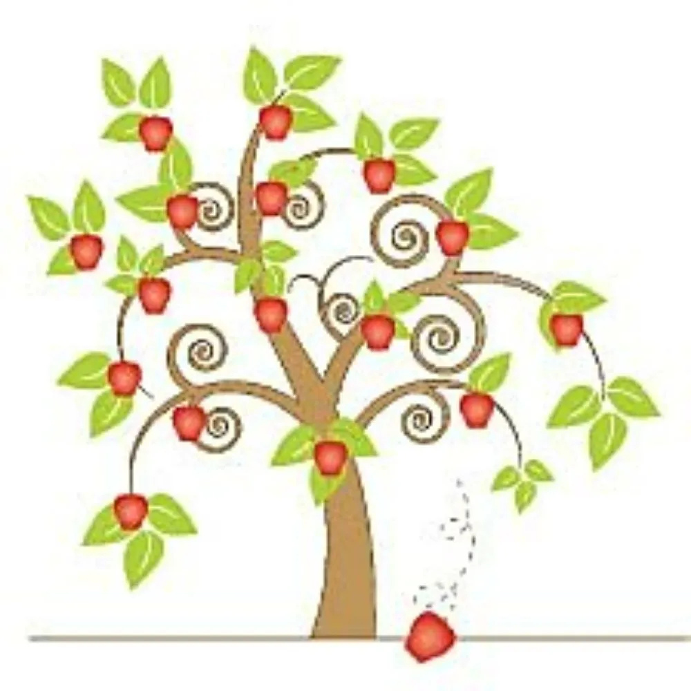 Reliable landscaping services experts serving Fort Lauderdale, FL - Apple Tree Lawns